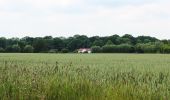 Tour Zu Fuß Dahme - Leuchtturm-Wald-Route - Photo 10