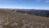 Trail Walking Rougon - Le Mourre du Chanier depuis Rougon - Photo 8