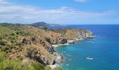 Percorso Marcia Banyuls-sur-Mer - Banyuls_Peyrefite_bis_T - Photo 3
