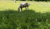 Tour Wandern Valorbiquet - La rando de Rollon - Photo 10