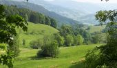 Percorso Marcia Orbey - Col du Wettstein, le circuit des sources par les Basses Huttes - Photo 1