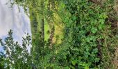Trail Walking Tinlot - boucle sur Seny et Warzée - Photo 2