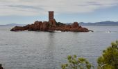 Tocht Stappen Saint-Raphaël - Tour du Gr.Defends - du Dramont Par les Ferrières (2) - Photo 12