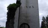 Trail On foot Tenneville - 14. Promenade de la Falize - Photo 2