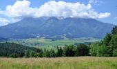 Tour Zu Fuß Feistritz ob Bleiburg - Hochpetzensteig - Photo 1