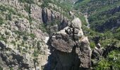 Tour Wandern Villefort - Lac Villefort la Garde Guerin, lac de Villefort.(31-05-2020) - Photo 8