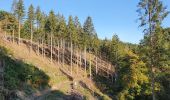 Tocht Stappen Florenville - rando les epioux 15/09/2020 - Photo 8