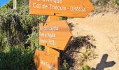 Trail Walking Théoule-sur-Mer - Notre dame d'Afrique  - Photo 3