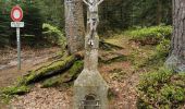 Tocht Stappen Sainte-Croix-aux-Mines - boucle col haut de Ribeauvillé - taennchel sentier des roches  - Photo 1