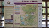 Trail Walking Maasmechelen - Mechelse Heide  - Photo 1