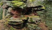 Trail Walking Sainte-Croix-aux-Mines - boucle col haut de Ribeauvillé - taennchel sentier des roches  - Photo 11