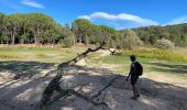 Tocht Stappen Darnius - Lac Boadella Darnius alentours  - Photo 2