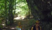 Tour Wandern Daverdisse - Porcheresse - Photo 6