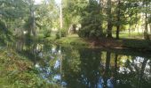 Tour Wandern Brunoy - Le Réveillon à l'Abbaye  - Photo 1