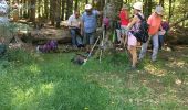 Trail Walking Val-d'Aigoual - Aigoual 25 juin 2023 - Photo 1