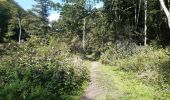 Randonnée Marche Houffalize - tour du lac des 2 ourthes - barrage de Nisramont  - Photo 13