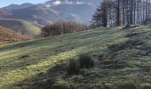 Tour Wandern Baztan - ALKURRUNTZ depuis le parling de Lizarmeak - Photo 2