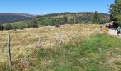 Tocht Stappen Orbey - Col du Wettstein - Hautes-Huttes - Lac du Forlet - Lac Vert - Photo 17