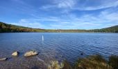 Randonnée Marche Cayres - Lac du Bouchet - Photo 1