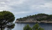 Tour Wandern Cassis - Sentier Petit Prince Cassis  - Photo 2