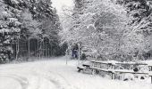Tour Wandern Büllingen - La vallée perdue - Rocherath  - Photo 7