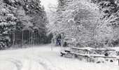 Tocht Stappen Büllingen - La vallée perdue - Rocherath  - Photo 7
