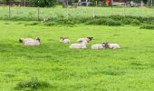 Tour Wandern Riemst - autour de Kanne et St Pietersberg  - Photo 1