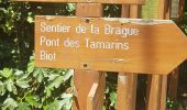 Tour Wandern Valbonne - La Brague de Valbonne - Photo 2