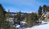 Tour Schneeschuhwandern La Llagonne - Les Bouillouses.( 66 MT LOUIS ) Pla des Aveillans-barrage des Bouillouses  - Photo 7