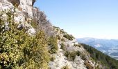 Trail Walking Aurel - Le Plateau de Solaure par Aurel - Photo 18