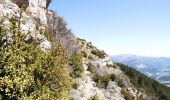 Excursión Senderismo Aurel - Le Plateau de Solaure par Aurel - Photo 18