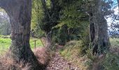 Trail Walking Sprimont - autour de dolembreux  - Photo 11
