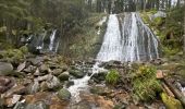 Trail Walking Vagney - Cascade de la Pissoire - Haut du Tôt  - Photo 1