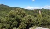 Tocht Stappen Le Triadou - tour triadou, st Jean de cuculles - Photo 5