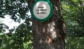 Randonnée Marche Hultehouse - Grotte des franc tireurs cité gauloises  - Photo 6