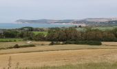 Randonnée A pied Audinghen - circuit du cap gris nez à Wissant - Photo 1