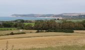 Tocht Te voet Audinghen - circuit du cap gris nez à Wissant - Photo 1