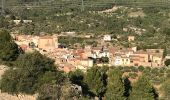 Excursión A pie Pradell de la Teixeta - Les crestes que domina el Mestral. Pradell de la Teixeta - Photo 5