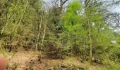 Tour Wandern Bertrix - ruisseau des Muno - Photo 9