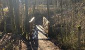 Trail Walking Marigny - lac de chalain - Photo 6