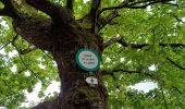 Tour Wandern Celles-sur-Plaine - celles sur plaine - Photo 3