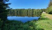 Tour Wandern La Chaise-Dieu - Sentier du Serpent d'Or  - Photo 14