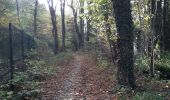 Tocht Stappen Seraing - petit tour à boncelle en attendant la voiture - Photo 2