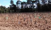 Trail Walking Saint-Saturnin-lès-Avignon - St Saturnin d Avignon  Gadagne 84 - Photo 5