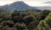 Randonnée Marche La Crau - château d Hyères-16-09-22  - Photo 6