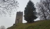 Excursión Senderismo La Trinité - Les Tours de Montmayeur au départ de la Trinité via col de Cochette - Photo 7