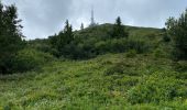 Trail Walking Ceyssat - Du Puy-de-Dôme au Pariou - Photo 15