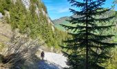 Excursión Senderismo Brizon - BARGY: SOLAISON - CENISE PAR LE MAUVAIS PAS - ROCHERS DE LESCHAUX - Photo 2