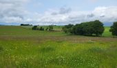 Tocht Stappen Houffalize - Engreux 080625 - Photo 4