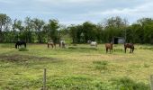 Tour Wandern Quévy - Quevy le petit 15 km  - Photo 5